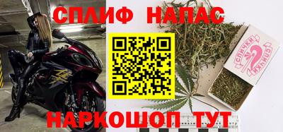 ПСИЛОЦИБИНОВЫЕ ГРИБЫ Берёзовский