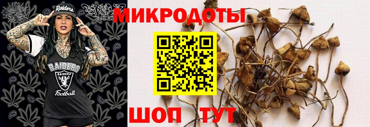 Псилоцибиновые грибы GOLDEN TEACHER Зеленодольск